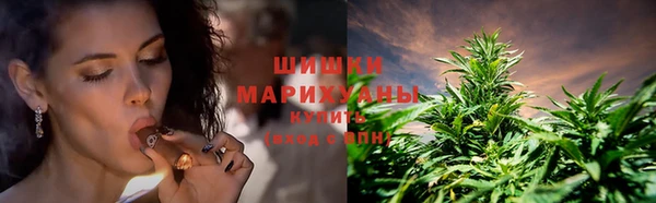 СК Абинск