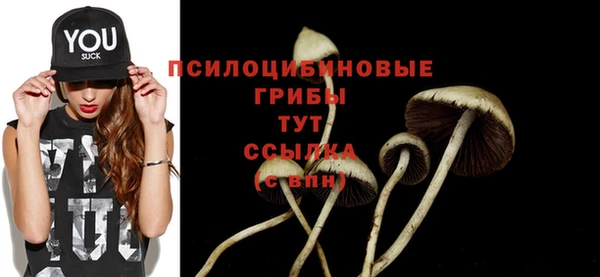 крисы Осинники