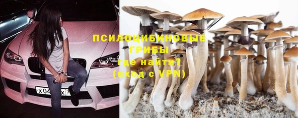 СК Абинск